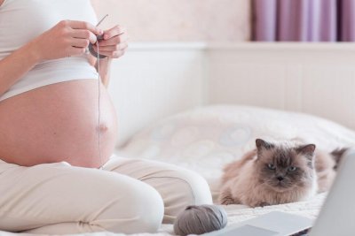 Токсоплазмоз во время беременности. В чем опасность?
