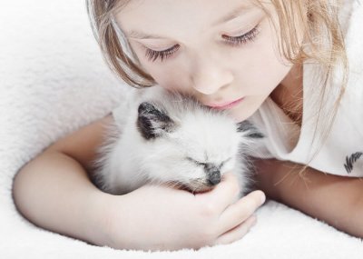 Ребенок и котенок: 5 положительных качеств, которым может научить детей наличие домашних животных.