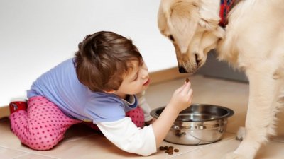 Роль домашних животных в воспитании ребёнка