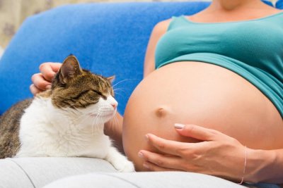Беременность и домашние животные